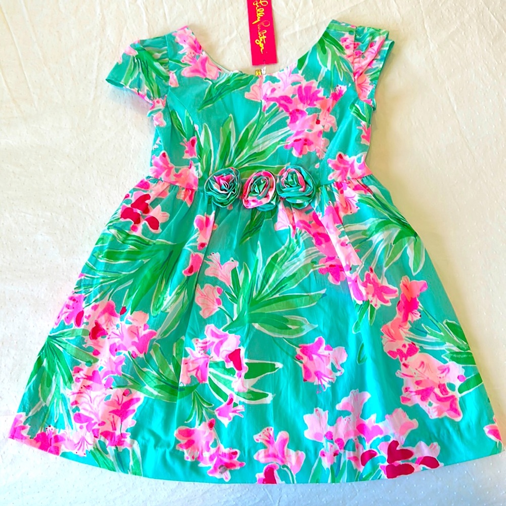 Lilly Pulitzer Momoa Dress